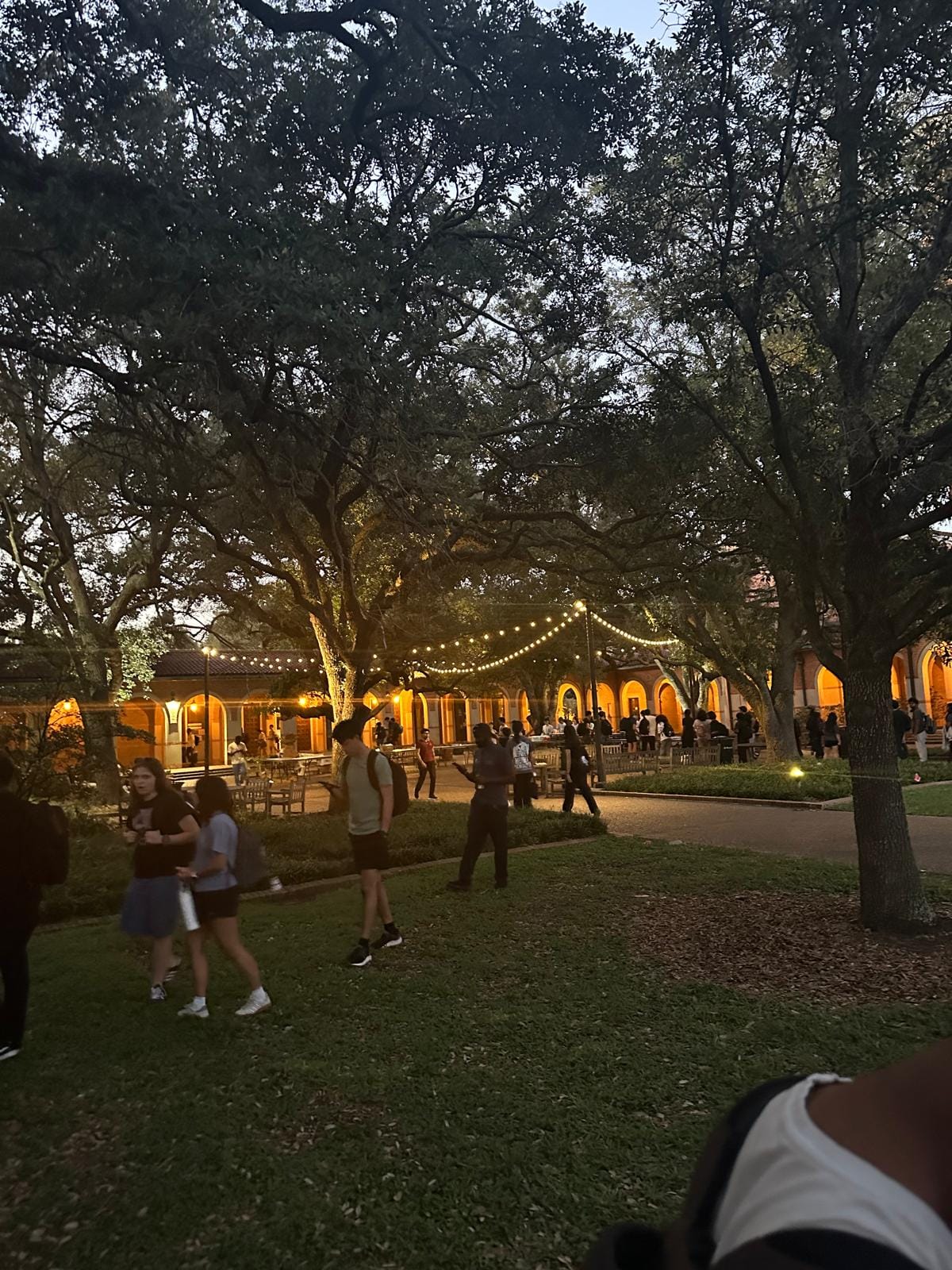 Rice courtyard at dusk under string lights.